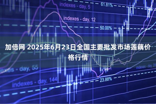 加倍网 2025年6月23日全国主要批发市场莲藕价格行情