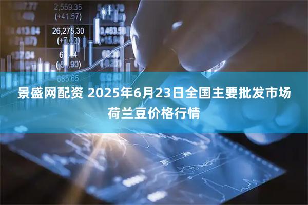 景盛网配资 2025年6月23日全国主要批发市场荷兰豆价格行情
